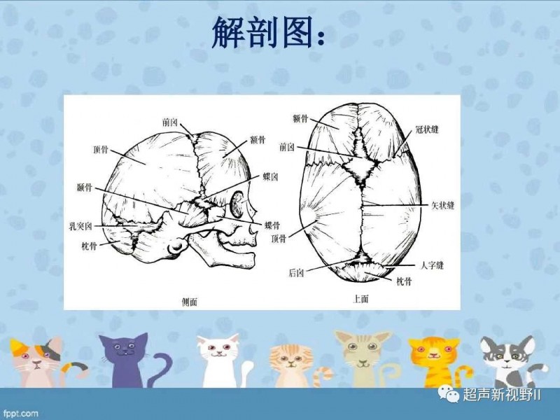 微信圖片_20181128150654