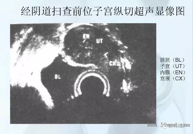 微信圖片_20190221113805